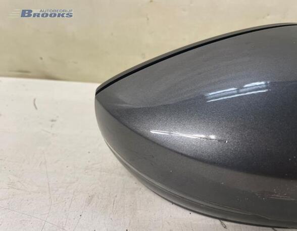 Wing (Door) Mirror VW POLO (6R1, 6C1), VW POLO Van (6R)