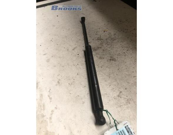 Gas Spring RENAULT ESPACE IV (JK0/1_)