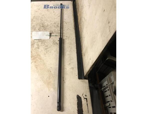 Gas Spring AUDI A5 (8T3)