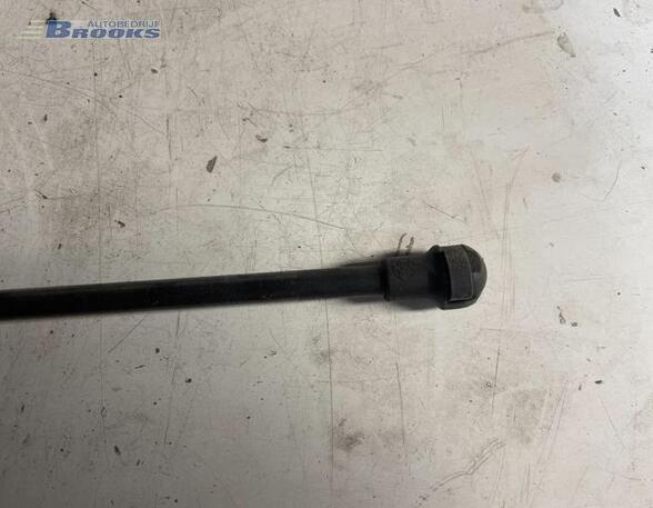 Gas Spring AUDI A3 (8L1)