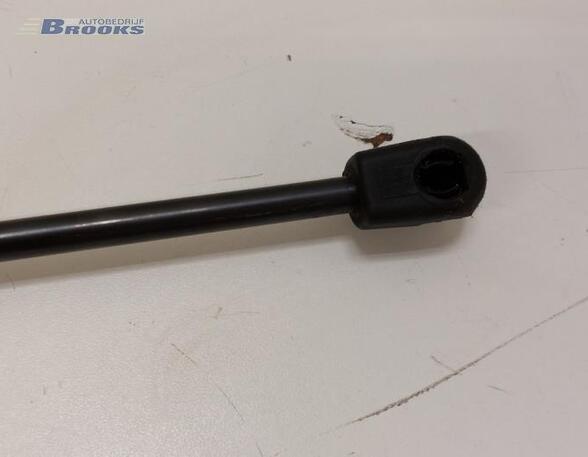 Gasdruckfeder Tesla Model 3 5YJ3 109147200B P19204917