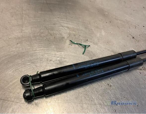 Gas Spring RENAULT TWINGO II (CN0_)