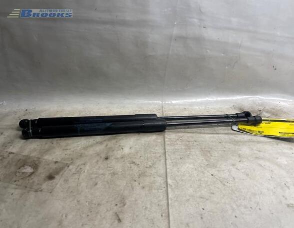 Gas Spring RENAULT TWINGO II (CN0_)