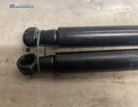 Gas Spring RENAULT TWINGO II (CN0_)