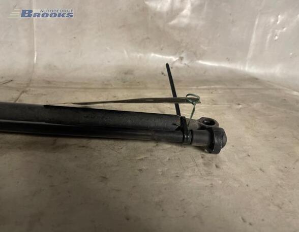 Gas Spring FIAT GRANDE PUNTO (199_), FIAT PUNTO EVO (199_), ABARTH GRANDE PUNTO, ABARTH PUNTO (199_)