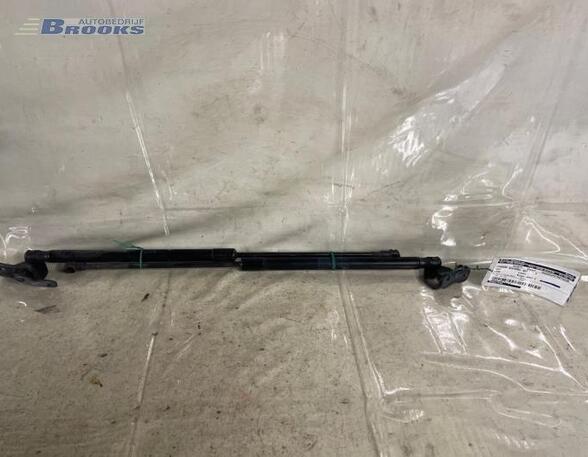 Bootlid (Tailgate) Gas Strut Spring SEAT LEON (1P1)