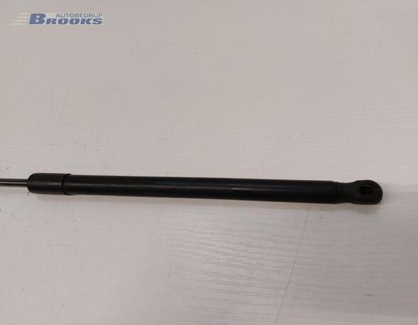 Bootlid (Tailgate) Gas Strut Spring VW POLO (6R1, 6C1), VW POLO Van (6R)