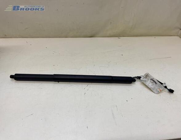 Bootlid (Tailgate) Gas Strut Spring AUDI Q4 SUV (F4B)