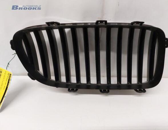 Radiateurgrille BMW 5 Touring (F11), BMW 5 Gran Turismo (F07), VOLVO S80 II (124), BMW 5 Touring Van (G31)