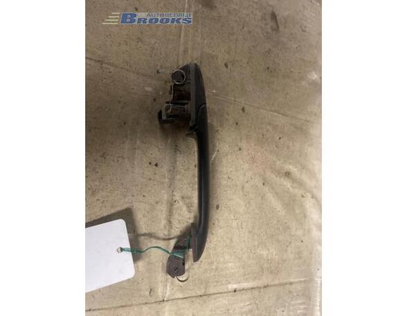 Door Handle VW POLO (6N1)