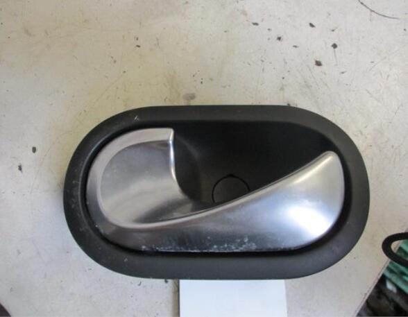 Door Handle RENAULT TWINGO II (CN0_)