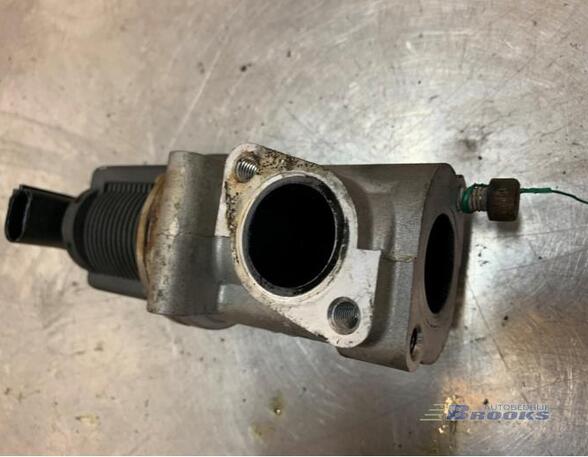 EGR Valve SUZUKI SX4 (EY, GY)