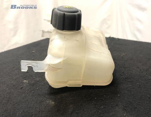 Coolant Expansion Tank RENAULT MEGANE III Grandtour (KZ0/1)