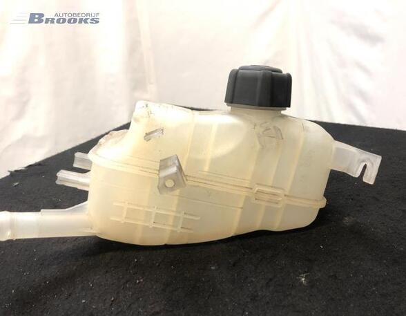 Coolant Expansion Tank RENAULT MEGANE III Grandtour (KZ0/1)