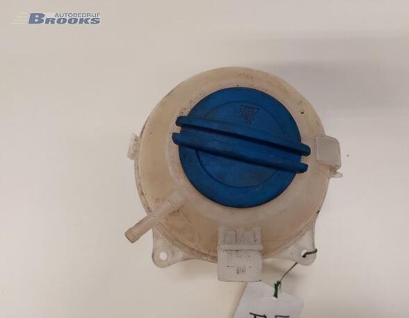 Coolant Expansion Tank SKODA FABIA II (542)