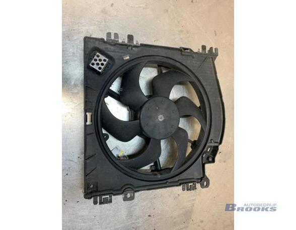 Radiator Electric Fan  Motor RENAULT CLIO III (BR0/1, CR0/1)