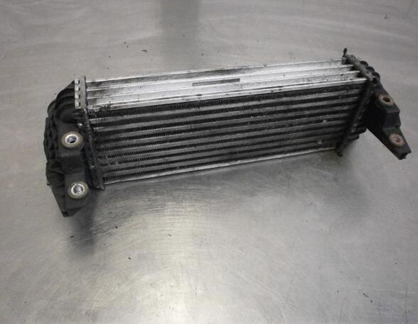 Intercooler FORD TRANSIT CONNECT (P65_, P70_, P80_)