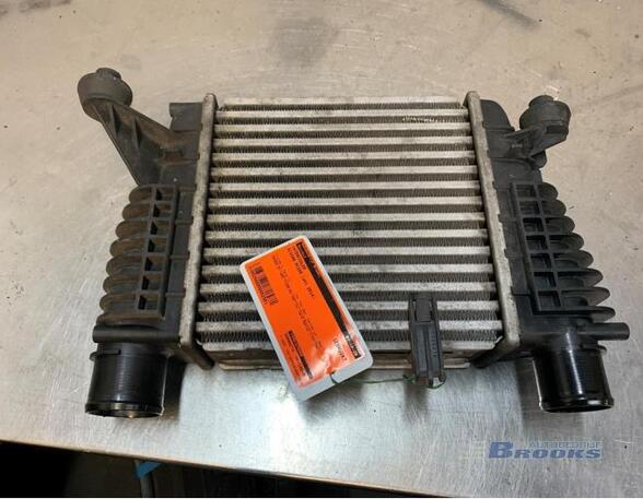 Intercooler NISSAN NV200 Van, RENAULT CLIO III (BR0/1, CR0/1)