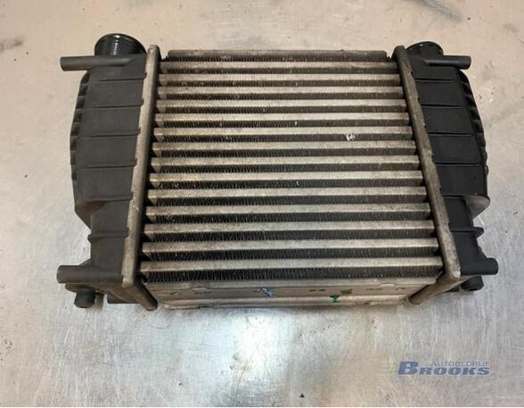 Intercooler NISSAN NV200 Van, RENAULT CLIO III (BR0/1, CR0/1)