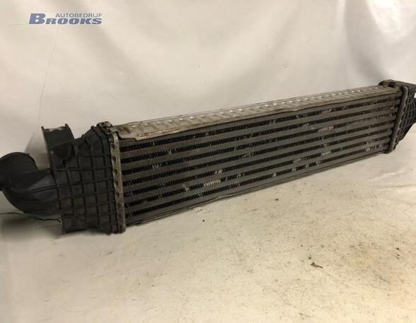 Intercooler FORD FOCUS II (DA_, HCP, DP)