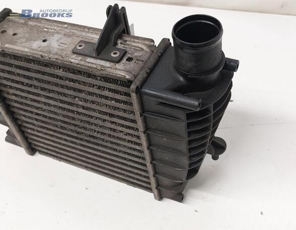 Intercooler RENAULT CLIO III (BR0/1, CR0/1)