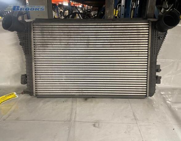 Intercooler SEAT LEON (1P1), AUDI A3 (8P1), AUDI A3 Sportback (8PA)