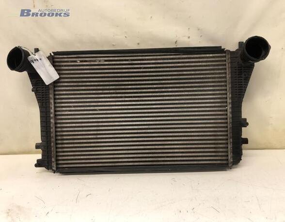 Intercooler AUDI A3 (8P1), AUDI A3 Sportback (8PA), SEAT LEON (1P1)