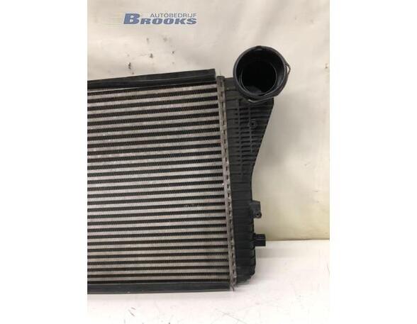 Intercooler AUDI A3 (8P1), AUDI A3 Sportback (8PA), SEAT LEON (1P1)