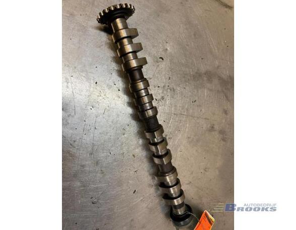 Camshaft SEAT LEON (1M1)