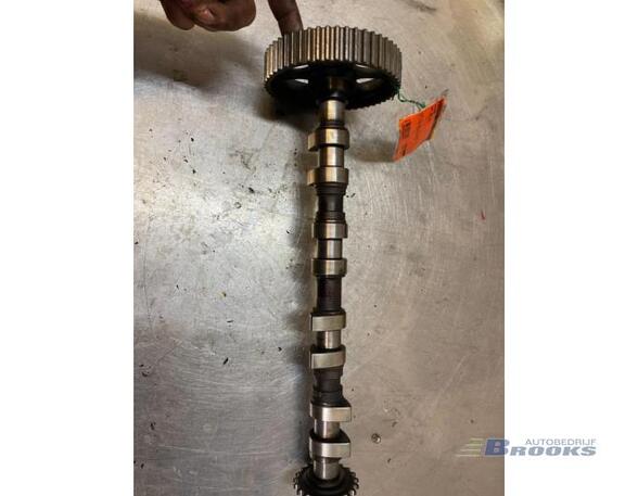 Camshaft SEAT LEON (1M1)