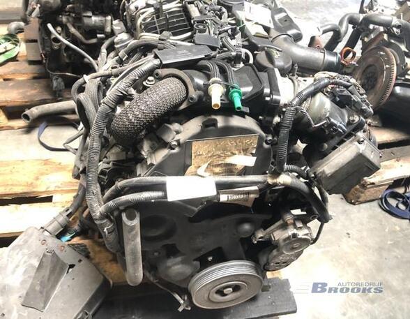 Bare Engine FORD FOCUS II Turnier (DA_, FFS, DS)