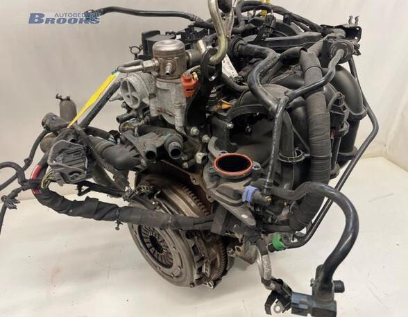 Motor kaal FORD FIESTA VI (CB1, CCN)