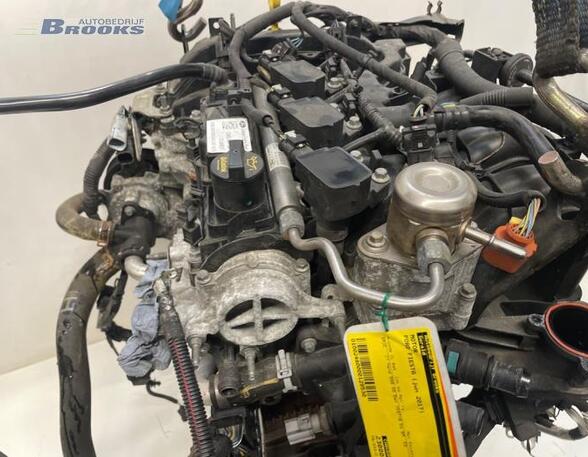 Motor ohne Anbauteile (Benzin) Ford Fiesta VI CB1, CCN CA6G6006BA P19984378