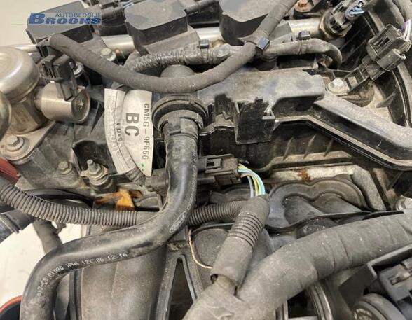 Bare Engine FORD FIESTA VI (CB1, CCN)