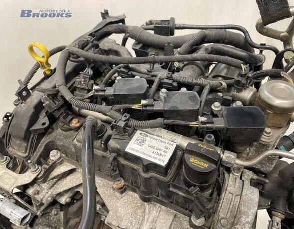 Motor kaal FORD FIESTA VI (CB1, CCN)