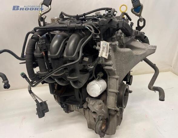 Motor kaal FORD FIESTA VI (CB1, CCN)