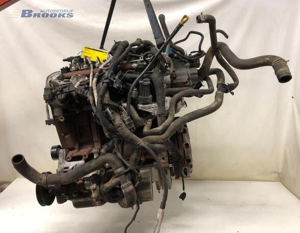 Bare Engine FORD TRANSIT Bus (FD_ _, FB_ _, FS_ _, FZ_ _, FC_ _), FORD TRANSIT V363 Bus (FAD, FBD)