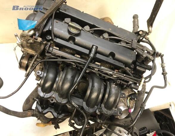 Bare Engine FORD FIESTA VI (CB1, CCN)