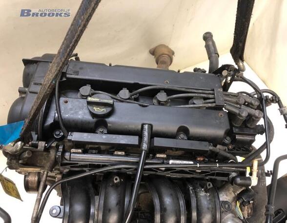 Bare Engine FORD FIESTA VI (CB1, CCN)