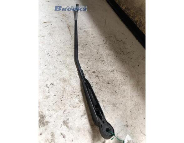 Wiper Arm RENAULT KANGOO Express (FC0/1_)