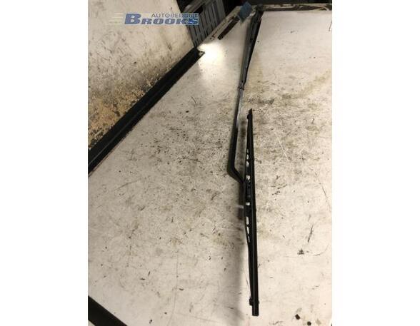 Wiper Arm RENAULT MEGANE Scenic (JA0/1_), RENAULT SCÉNIC I MPV (JA0/1_, FA0_)