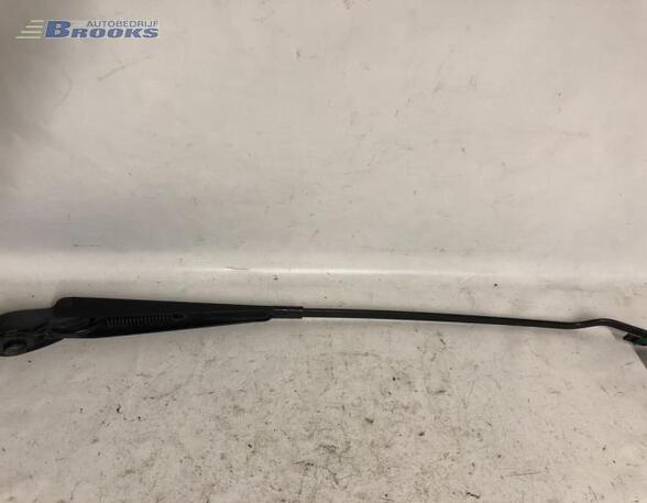 Wiper Arm RENAULT CLIO II (BB_, CB_), RENAULT CLIO III (BR0/1, CR0/1), RENAULT THALIA I (LB_)