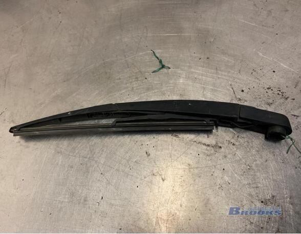 Wiper Arm RENAULT TWINGO II (CN0_)