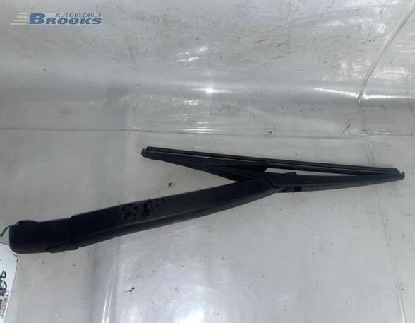 Wiper Arm FIAT GRANDE PUNTO (199_), FIAT PUNTO (199_), FIAT PUNTO EVO (199_), ABARTH GRANDE PUNTO