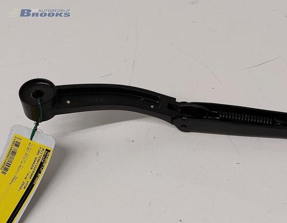 Wiper Arm FORD RANGER (TKE)