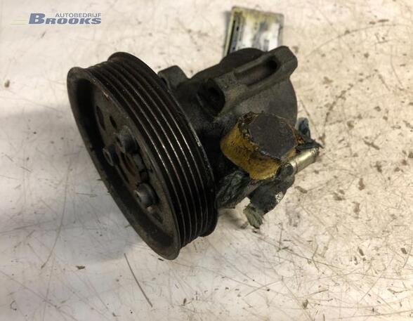 Power steering pump VW POLO (6N1), VW GOLF III (1H1), VW NEW BEETLE (9C1, 1C1), VW GOLF IV Variant (1J5)