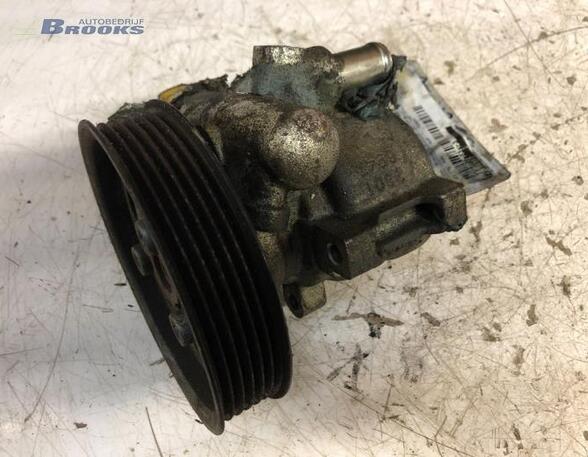 Power steering pump VW POLO (6N1), VW GOLF III (1H1), VW NEW BEETLE (9C1, 1C1), VW GOLF IV Variant (1J5)