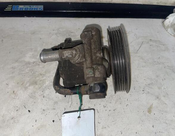 Power steering pump VW POLO (6N1), VW GOLF III (1H1), VW NEW BEETLE (9C1, 1C1), VW GOLF IV Variant (1J5)