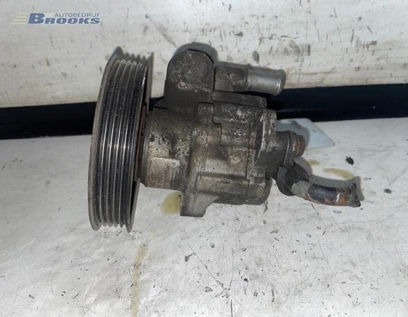 Power steering pump VW POLO (6N1), VW GOLF III (1H1), VW NEW BEETLE (9C1, 1C1), VW GOLF IV Variant (1J5)