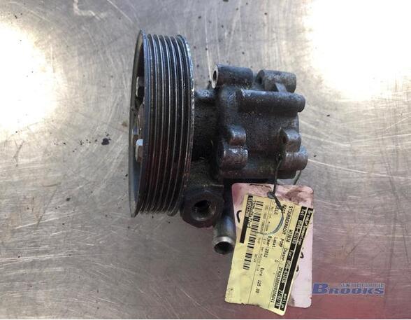 Power steering pump FIAT DOBLO Cargo (263_), FIAT DOBLO Platform/Chassis (263_)